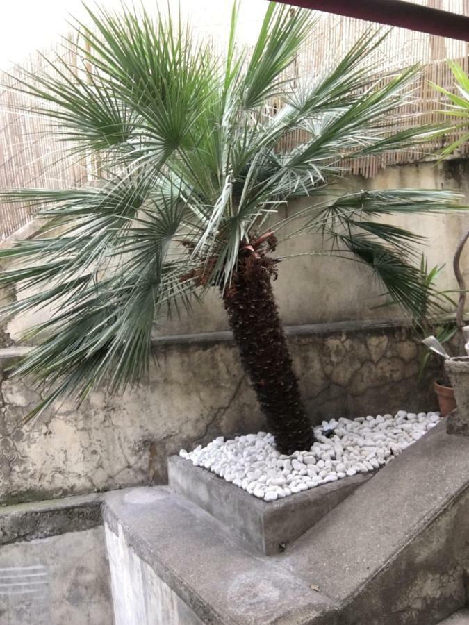 Nice Grand Appartement Face Jardin エクステリア 写真
